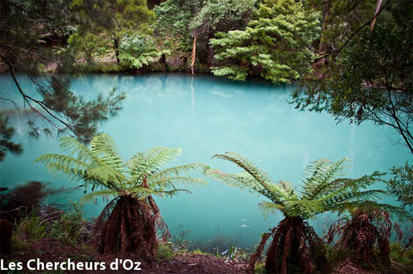 Blue Lake, Jenolan Caves - Les Chercheurs d'Oz Blue Lake, Jenolan Caves - Les Chercheurs d'Oz