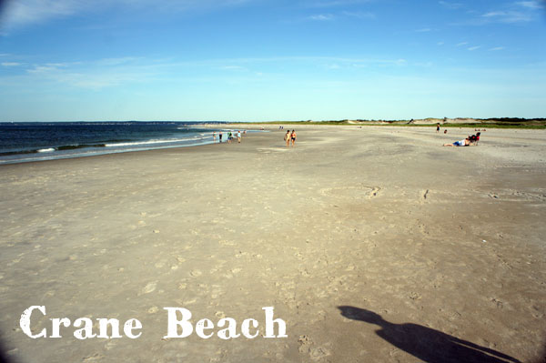 Crane Beach