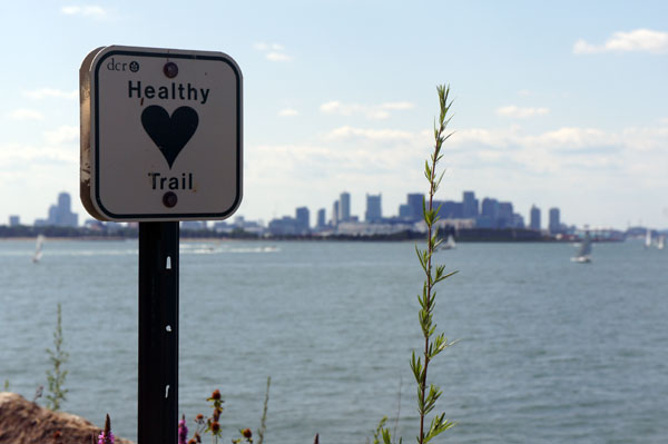 Healthy Trail Spectacle Island Healthy Trail Spectacle Island