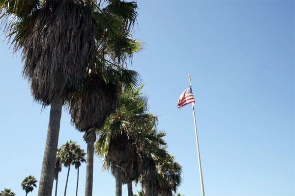 Los Angeles - Mlle Dubndidu Los Angeles - Mlle Dubndidu
