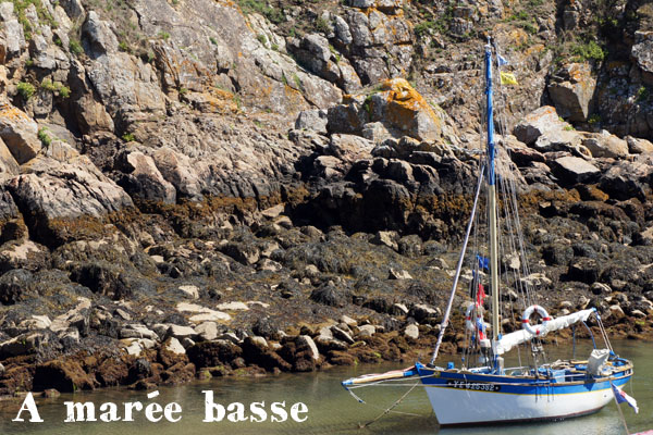 A Marée basse sur l'île d'Yeu A Marée basse sur l'île d'Yeu - Maathiildee