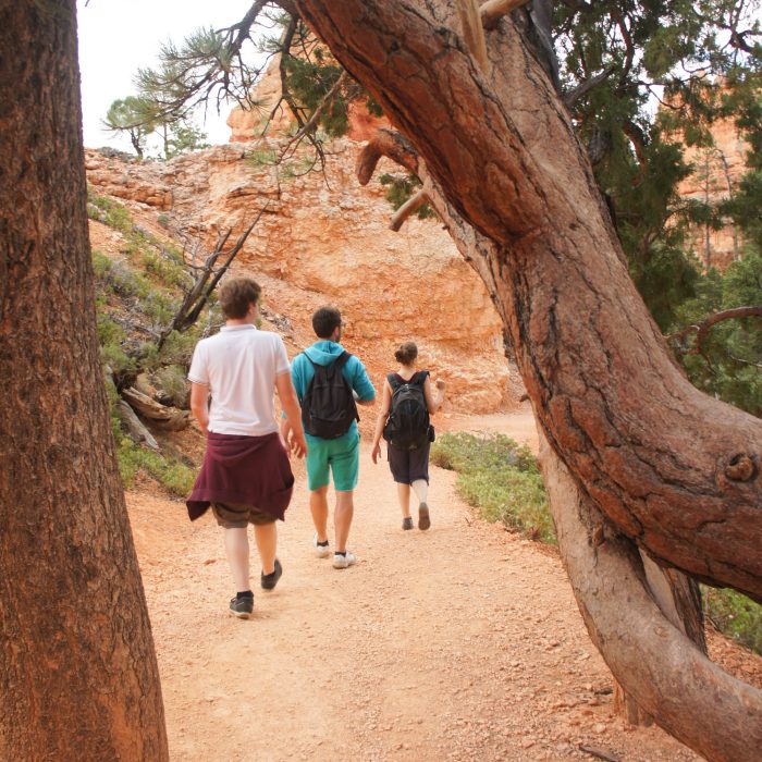 Bryce canyon utah 16