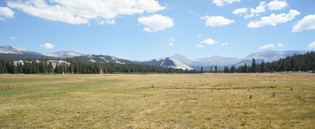 yosemite national park californie plaines