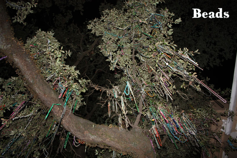 Beads, les colliers de Mardi Gras, pendus aux arbres Beads, les colliers de Mardi Gras, pendus aux arbres