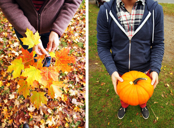 Leaves and pumpkin - Fall foliage - Mohawk trail - Massachusetts