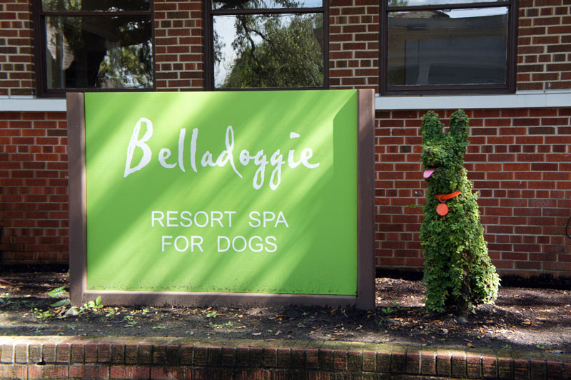 Spa pour chiens, New Orleans Spa pour chiens, New Orleans