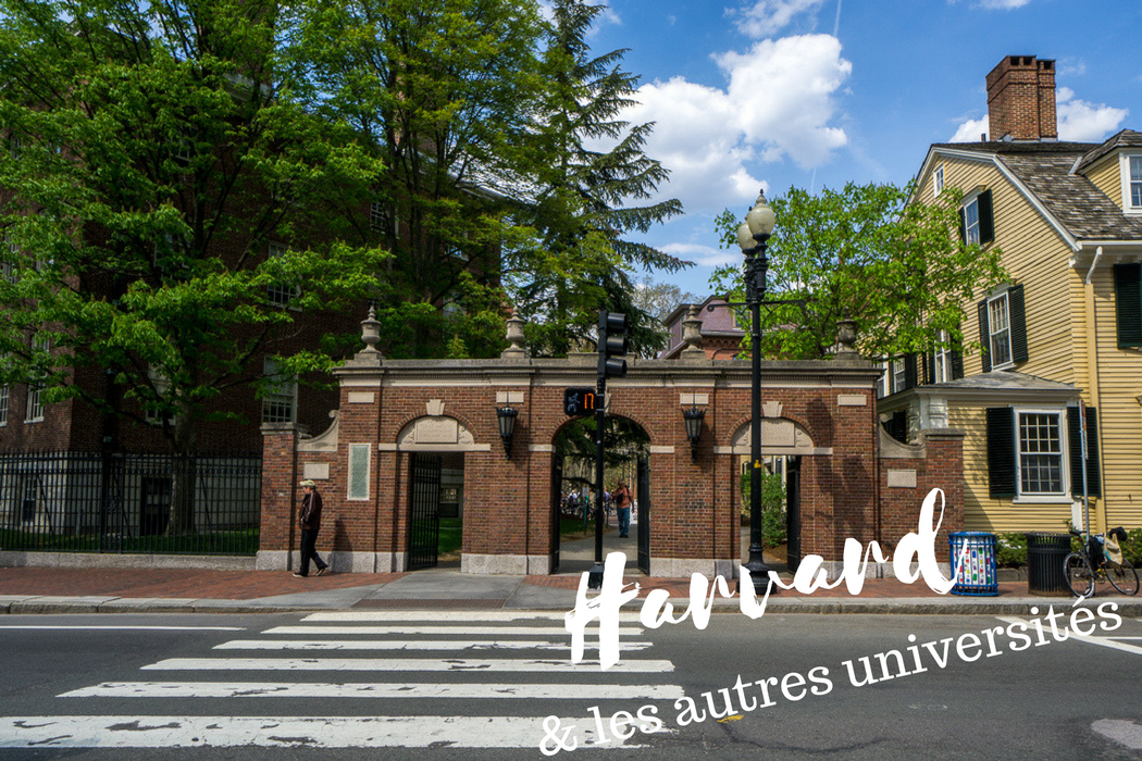 Harvard et universites