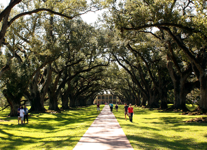 Oak Alley Plantation, Louisiana