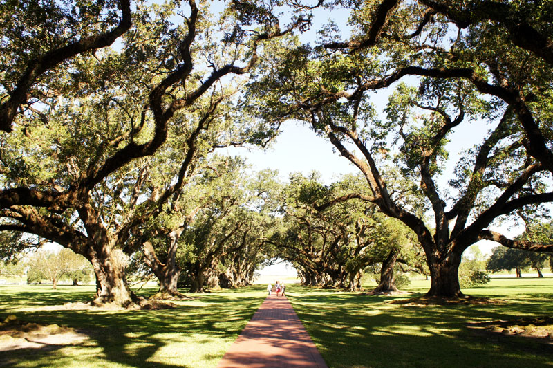 Oak Alley Plantation, Louisiana