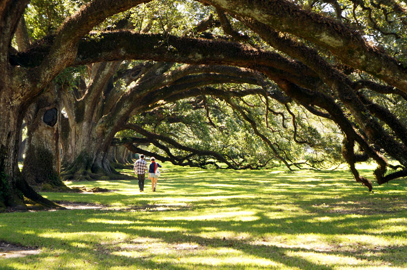 Oak Alley Plantation, Louisiana