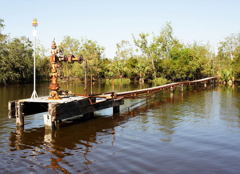 Barataria Swamp Tour Louisiana