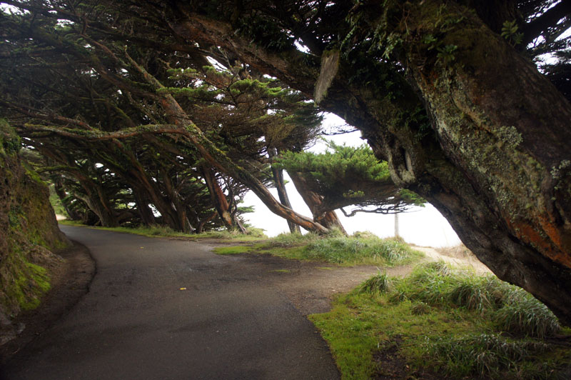 Pointe Reyes, California