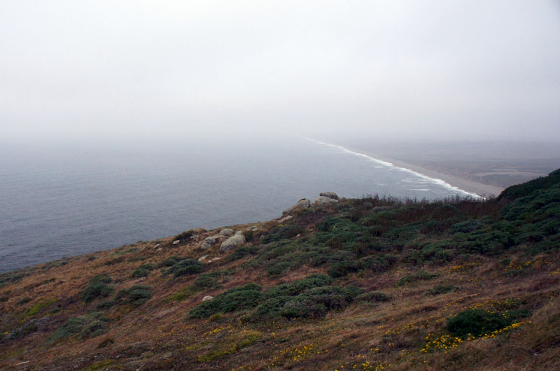 Pointe Reyes, beach, California