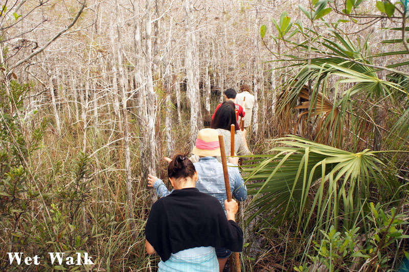 Wet tour, Everglades, Florida