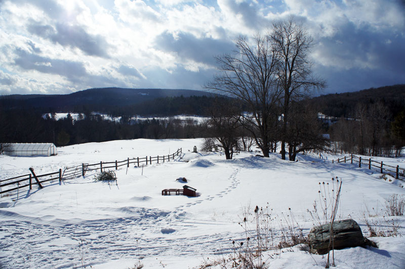 Farm Stay Vermont