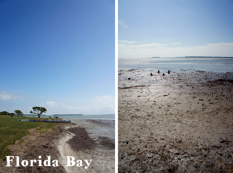 Florida Bay, Everglades