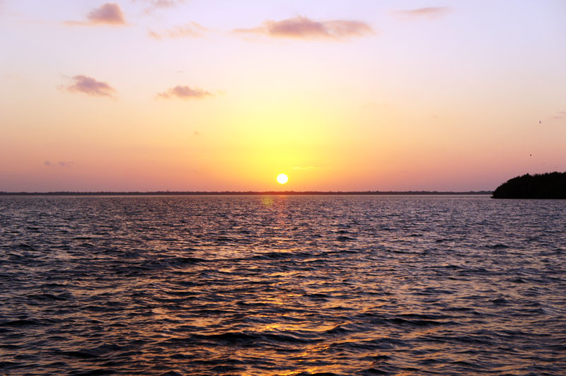 Keys, Big Pine Key, Florida