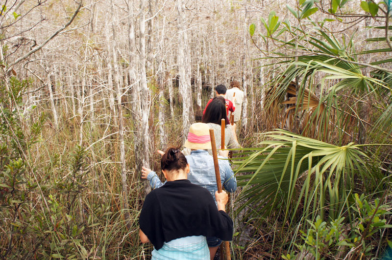 Wet tour Everglades, Florida
