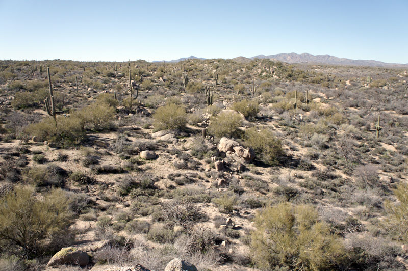 Arizona Team Building les cactus dans le désert