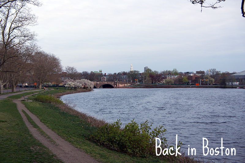 Memorial Drive, Cambridge