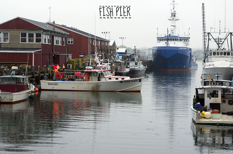 Fish Pier Portland