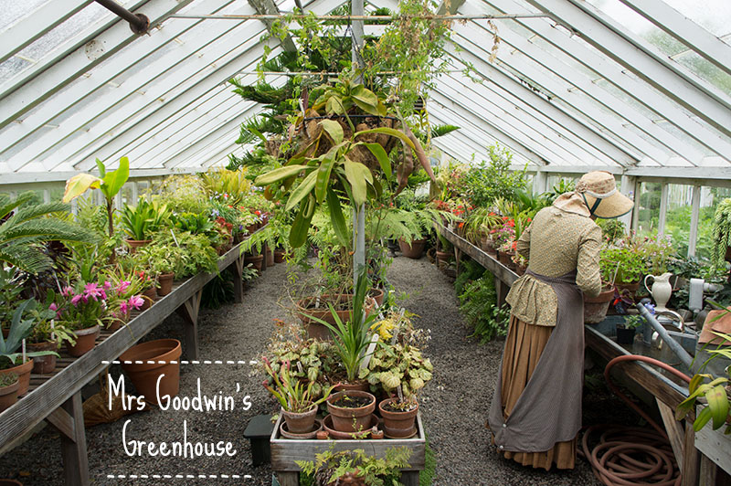 Strawbery Banke Museum, Portsmouth, NH, Mrs Goodwin Greenhouse