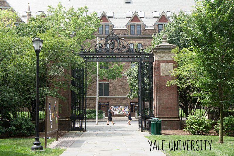 Yale University New Haven