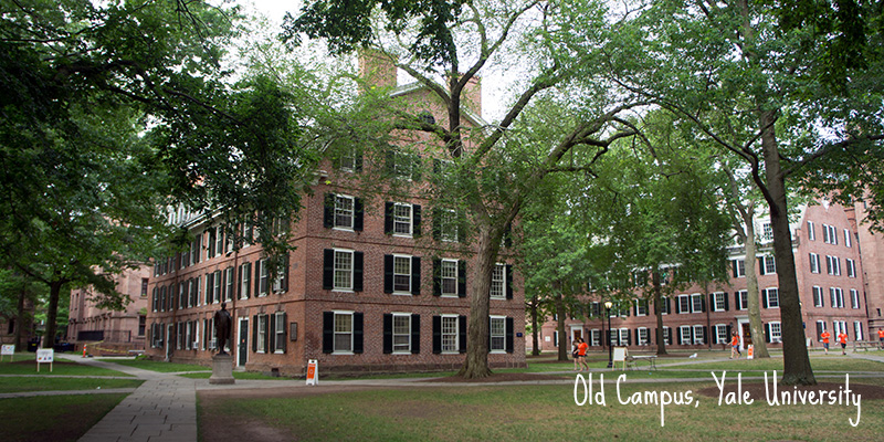 Old Campus Yale University