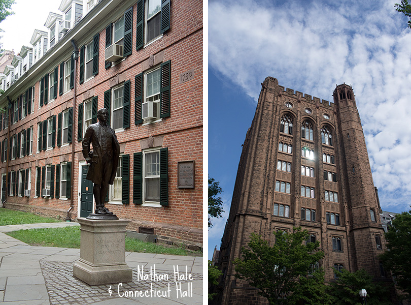 Old Campus Nathan Hale Yale University