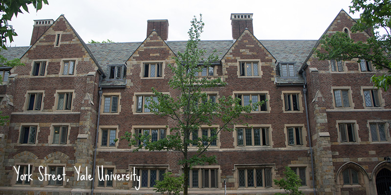 Yale University New Haven York Street