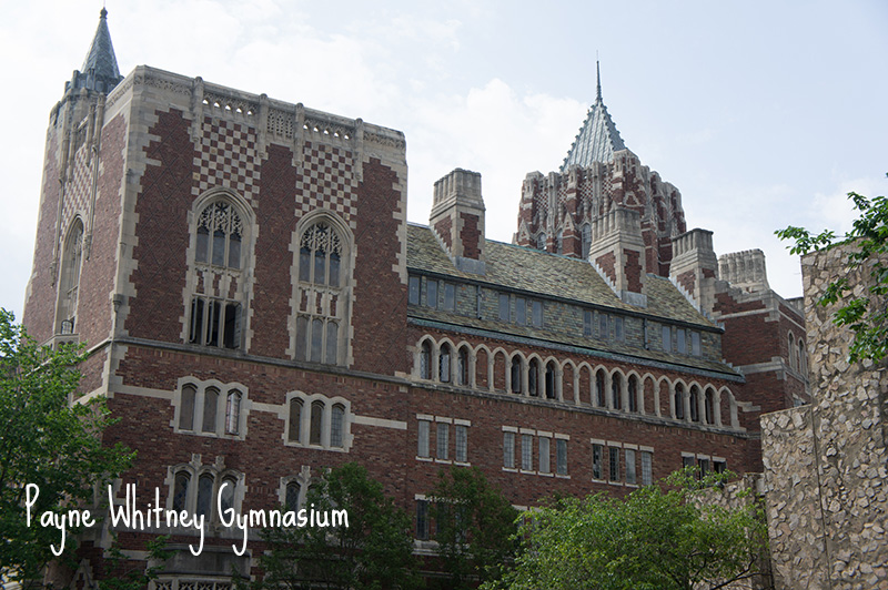 Gymnasium Yale University