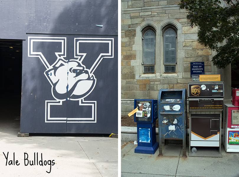 Yale Bulldogs