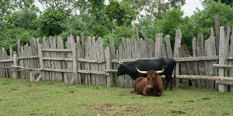 Plimoth Plantation 3