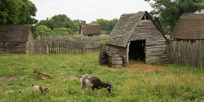 Plimoth Plantation 5