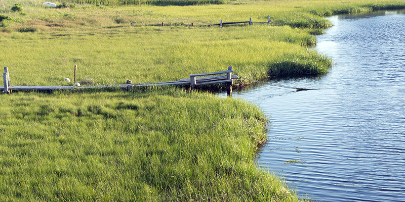 Marais salants - Nantucket