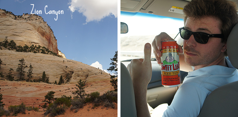 Road trip entre amis - Zion Canyon