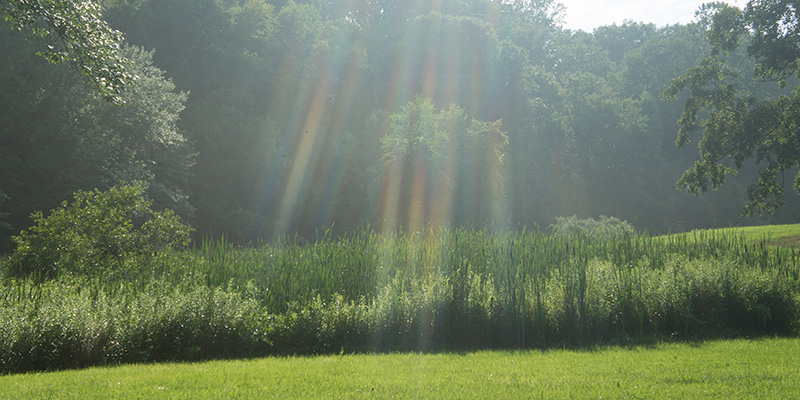 Countryside in Connecticut Valley