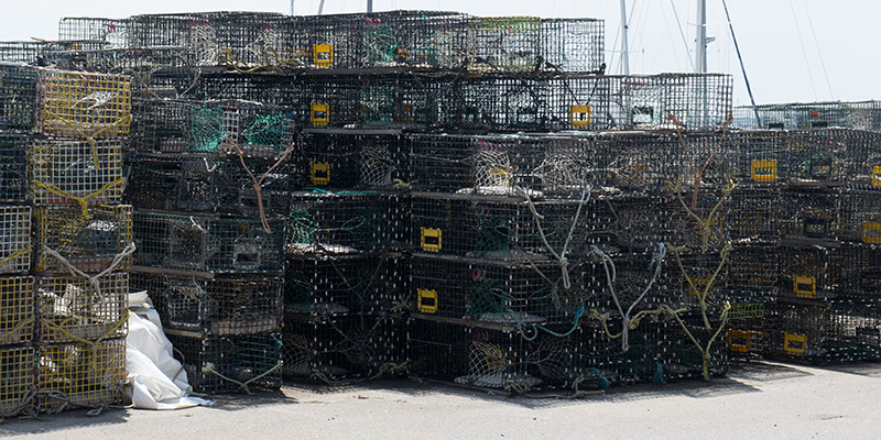 Lobster traps Stonington CT