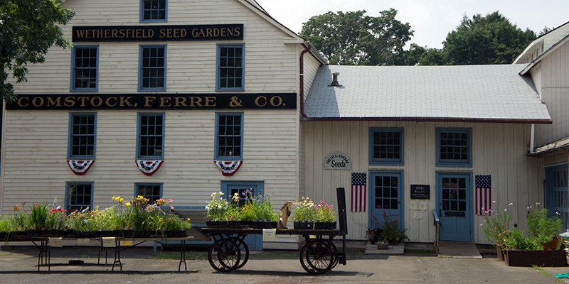 Historic Wethersfield, CT