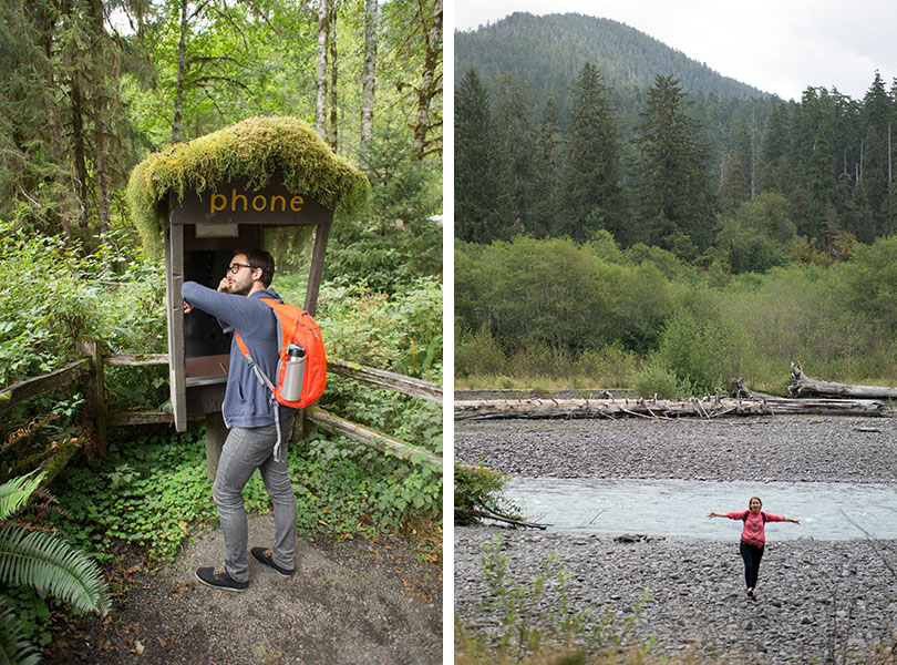 Hoh national rainforest - Olympic National Park 6