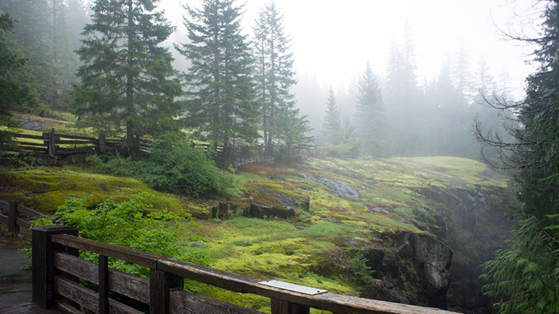 Box Canyon - Mount Rainier National Park