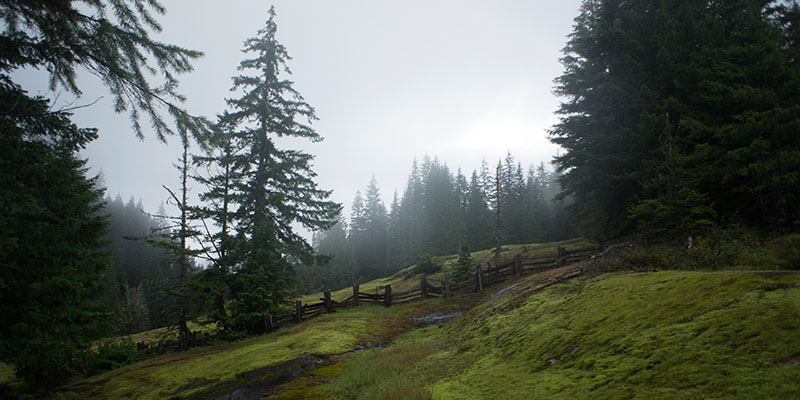 Box Canyon - Mount Rainier National Park 1