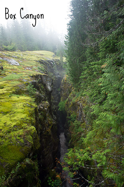 Box Canyon - Mount Rainier National Park 2