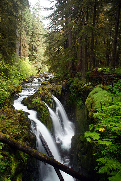 Olympic National Park - Sol Duc Valley
