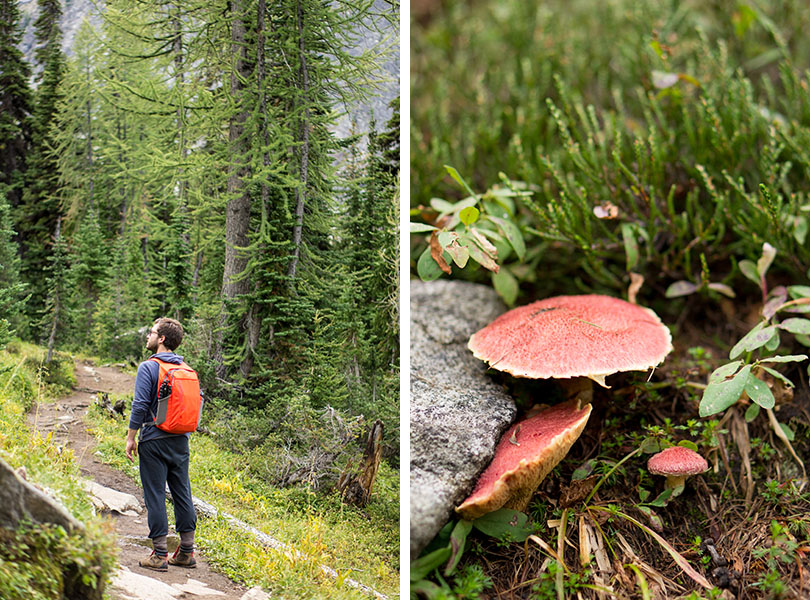 Blue Lake - North Cascades National Park trail