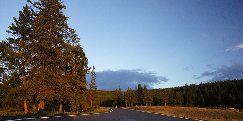 Sur la route des vacances, Yellowstone