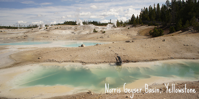 Norris Geyser Basin, Yellowstone