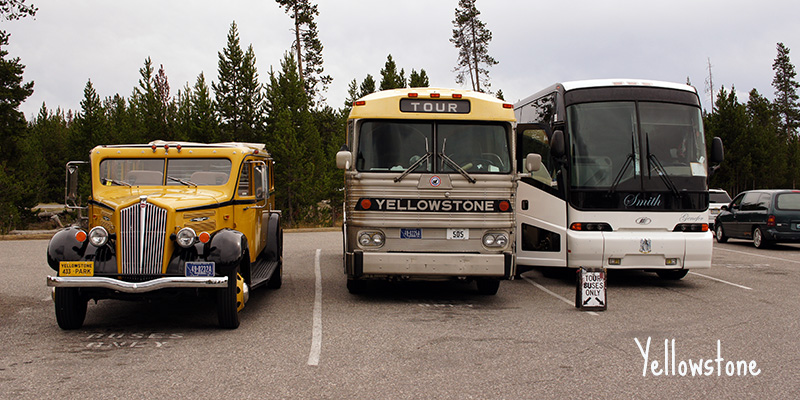 Bus à Yellowstone