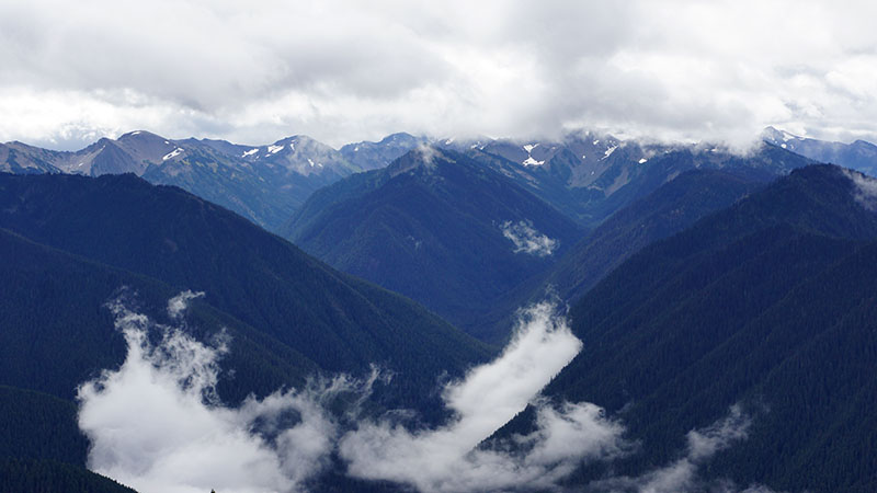 Hurricane Ridge - Olympic National Park 1