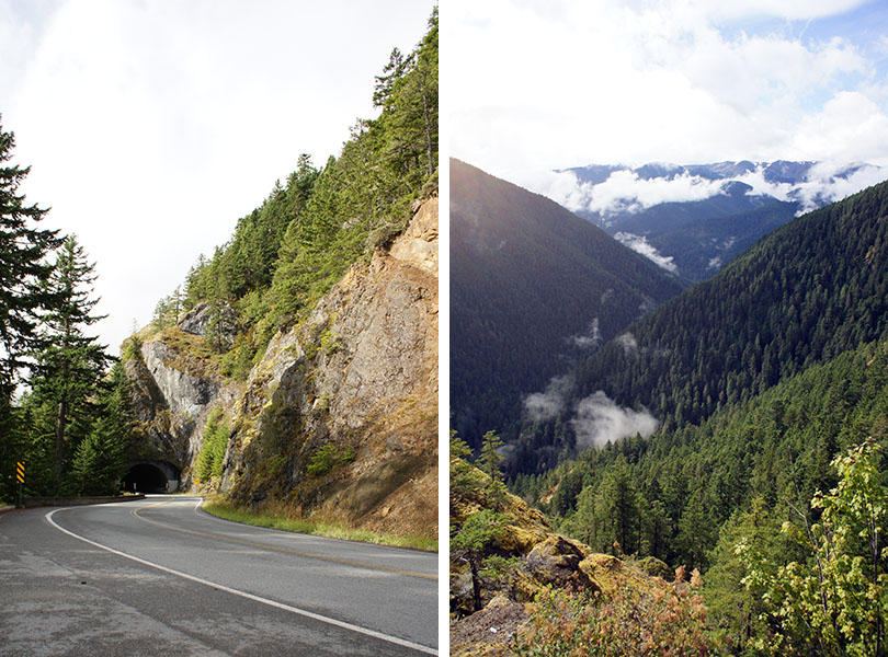 hurricane ridge - Olympic National Park